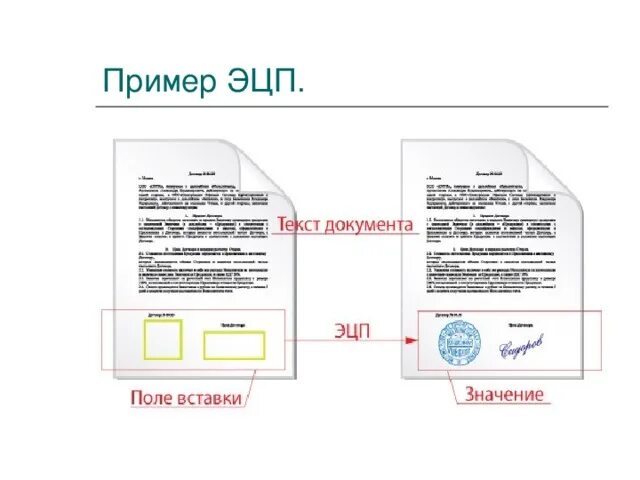 Квалифицированная электронная подпись как выглядит ЭЛЕКТРОННЫЙ ДОКУМЕНТООБОРОТ.