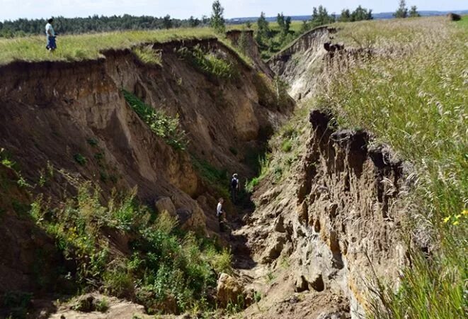 Кварталы драверта фото Берег драверта