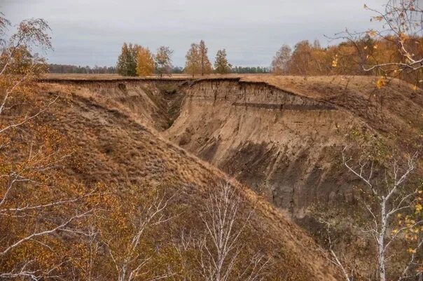 Кварталы драверта фото Фотографии на стене сообщества - Фотография 3 из 80 ВКонтакте