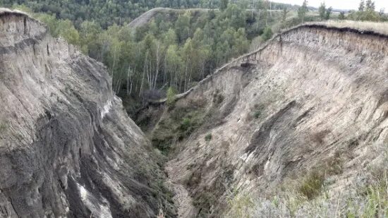 Кварталы драверта фото С Дравертом на берег Драверта - Сайт Сергея Демченкова