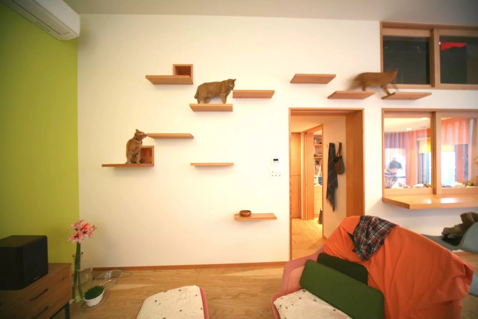 Квартира для кошек фото My Saves from Cat Architecture: 6 Homes Designed With Felines in Mind - Dwell