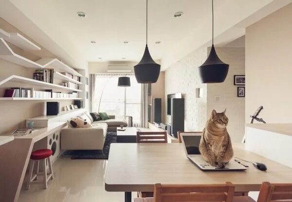 Квартира для кошек фото The Perfect 'Cat House' Contemporary apartment, Furniture design, House design