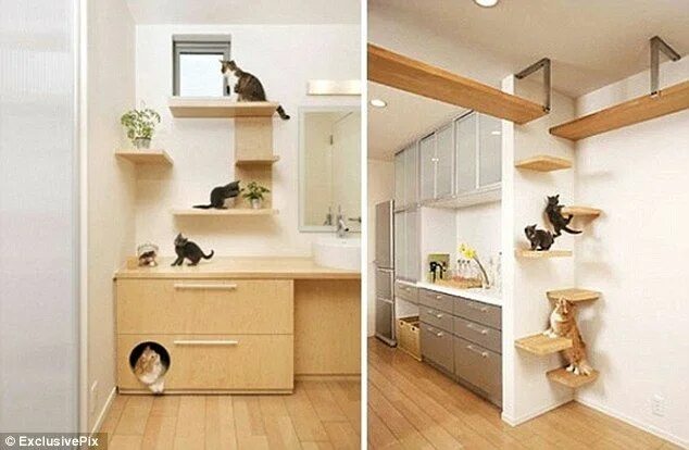 Квартира для кошек фото What is this, a house for cats?!?! Casa com design dos sonhos, Home, Lar dos son