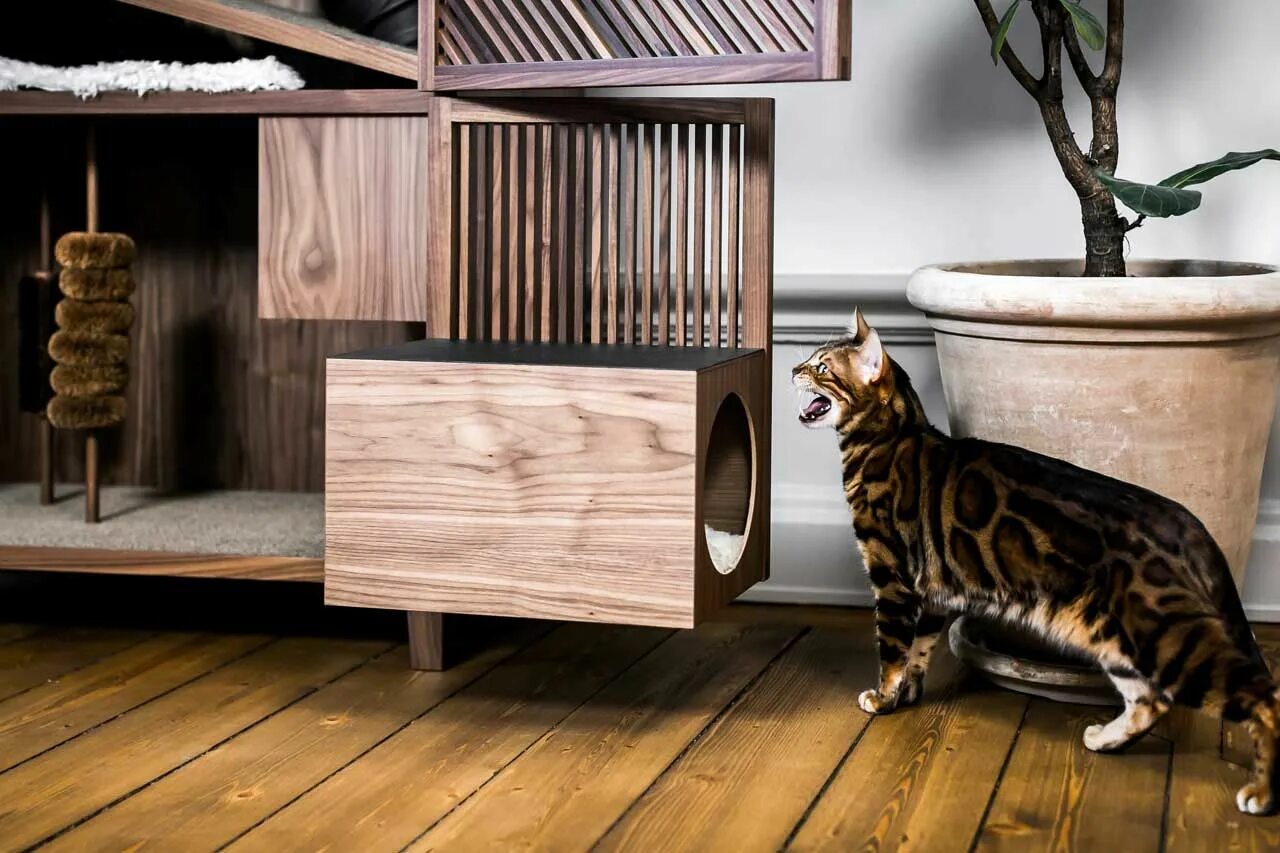 Квартира для кошек фото Modern Cat House Gives Cats 10 Fun Things Design Milk Arbre a chat, Maison hello