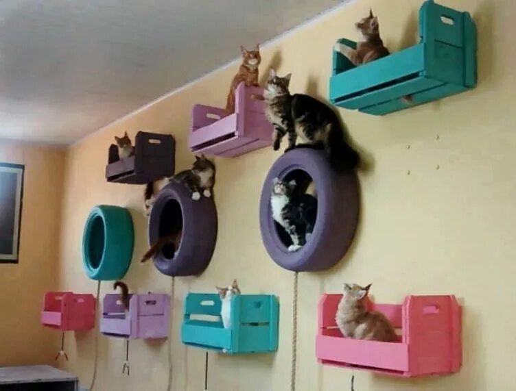 Квартира для кошек фото 28+ Picture The Best Cat Room Inspiration - meowlogy Cat room, Cat playground, C