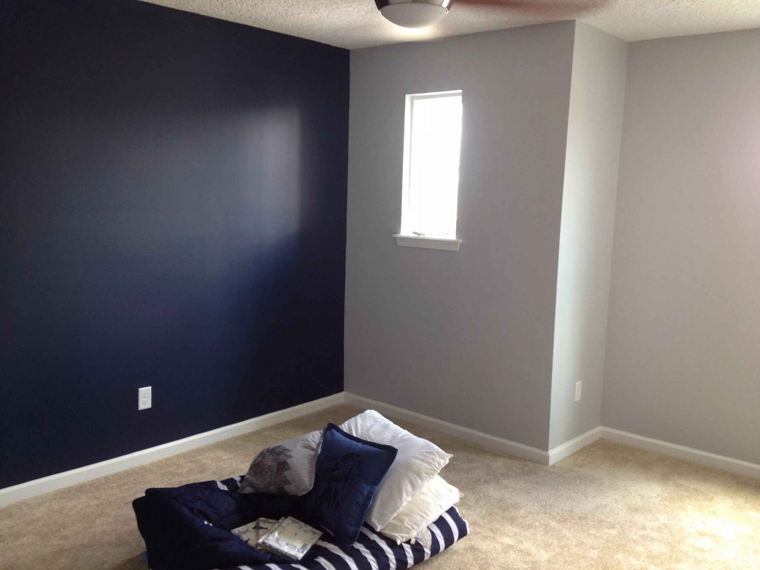 Квартира стены краска фото Sherwin Williams Naval with gray screen on opposing wall Teenage room decor, Boy