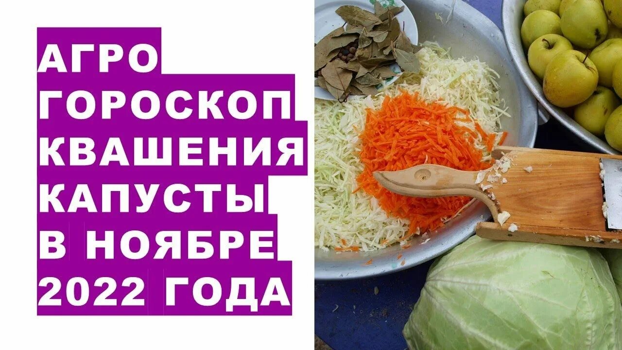 Квашение капусты по лунному календарю Агрогороскоп квашения капусты в ноябре 2022 года - смотреть видео онлайн от "Хас