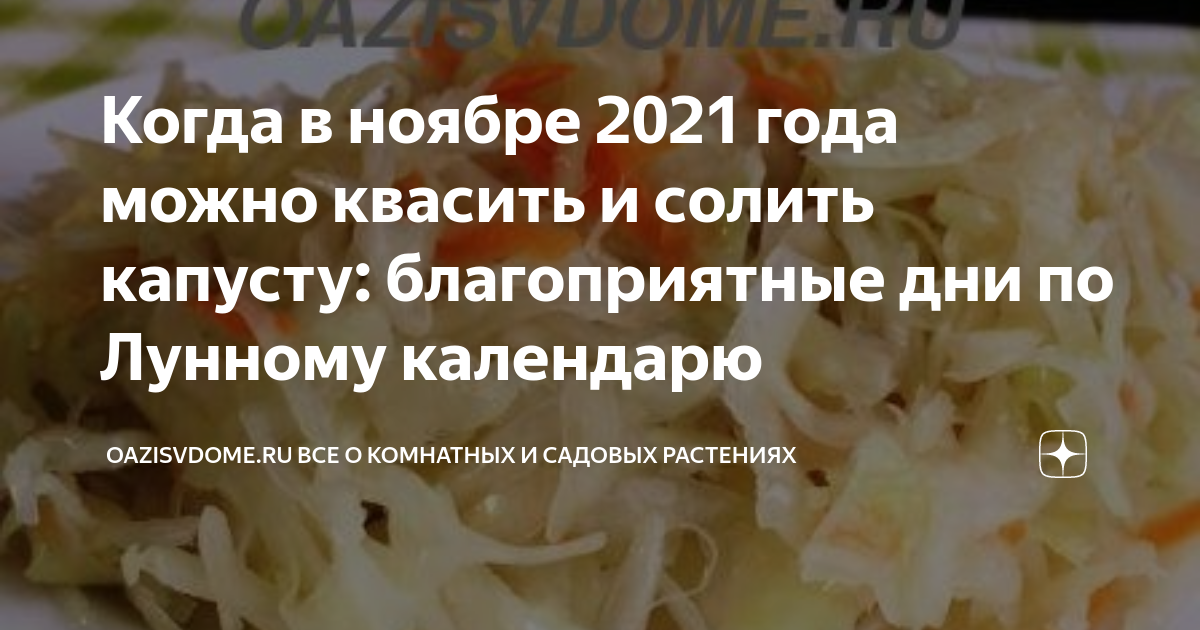 Квашение капусты по лунному календарю Когда в ноябре 2021 года можно квасить и солить капусту: благоприятные дни по Лу