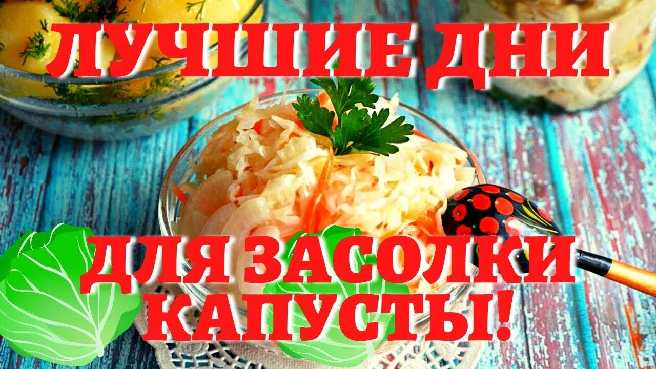 Квашение капусты по лунному календарю КОГДА СОЛИТЬ КАПУСТУ, чтобы была очень вкусной? Лучшие даты по лунному календарю