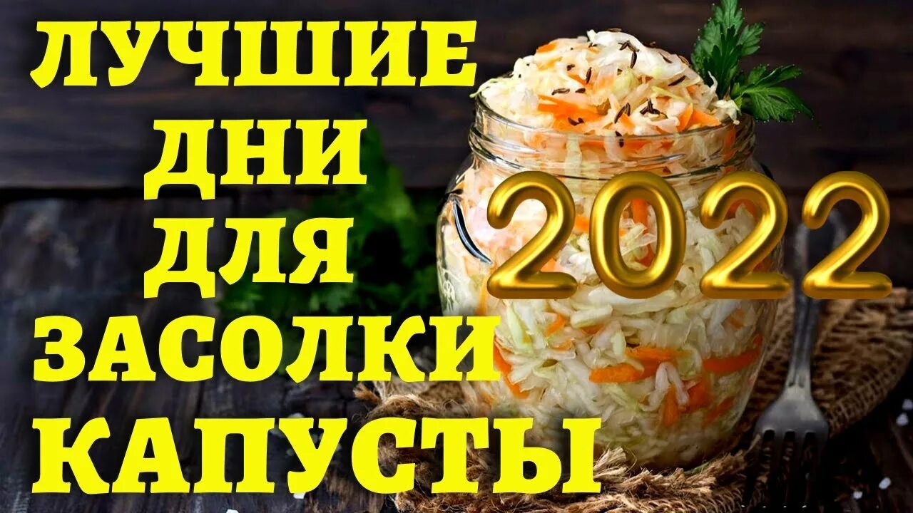 Квашение капусты по лунному календарю КОГДА СОЛИТЬ КАПУСТУ, чтобы была вкусной? Лучшие даты 2022 по лунному календарю 