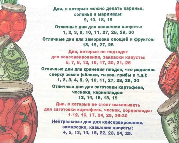 Квашение капусты по лунному календарю в октябре Картинки КАКОГО ЧИСЛА КВАСЯТ КАПУСТУ НА ЗИМУ