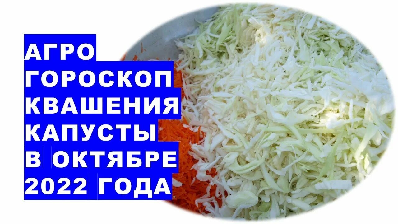 Квашение капусты по лунному календарю в октябре Агрогороскоп квашения капусты в октябре 2022 года - YouTube