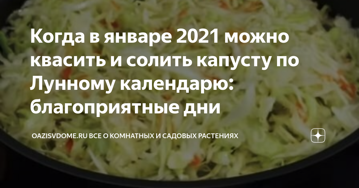 Квасим капусту на зиму по лунному календарю Когда в январе 2021 можно квасить и солить капусту по Лунному календарю: благопр