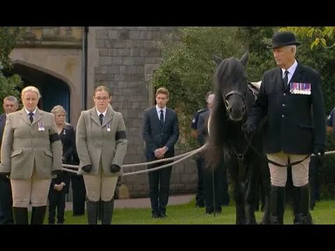 Квин хорс рабочий поселок ржавки 16а фото Queen's favourite horse Emma waits for her one final time at Windsor - YouTube