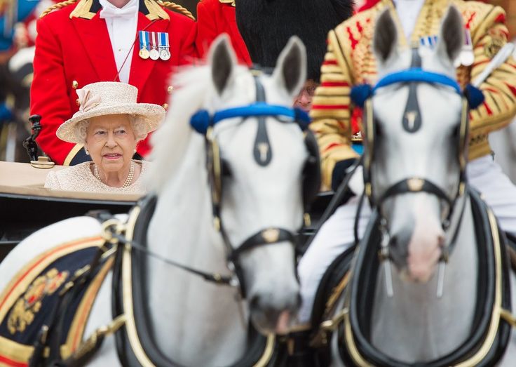 Квин хорс рабочий поселок ржавки 16а фото Queen Elizabeth's Favorite Carriage Horse Retires Horses, Queen, Queen elizabeth