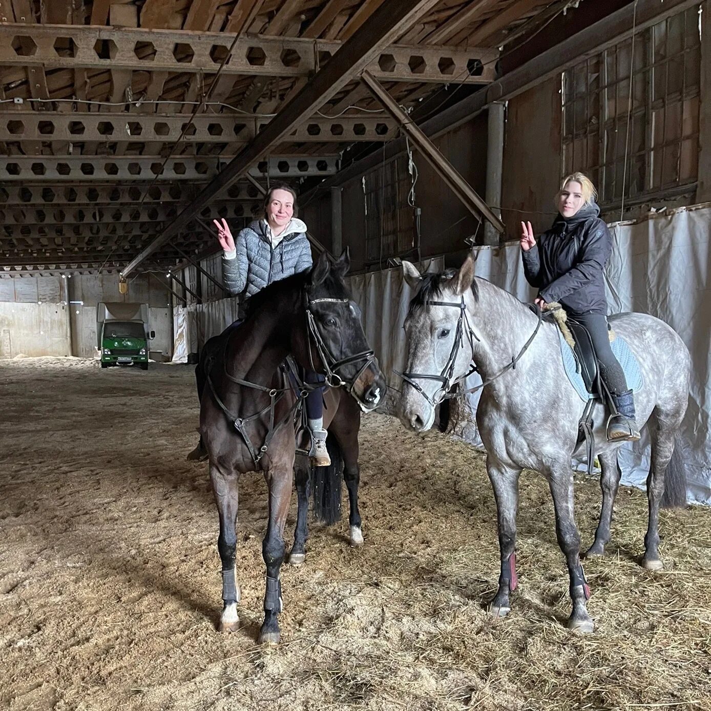 Квин хорс рабочий поселок ржавки 16а фото Конный клуб Kueen Horse @queen.horses22 Удачное место для вашего любимца Мы нахо