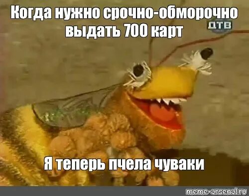 Пчела из деревни дураков фото Мем: "Когда нужно срочно-обморочно выдать 700 карт Я теперь пчела чуваки" - Все 