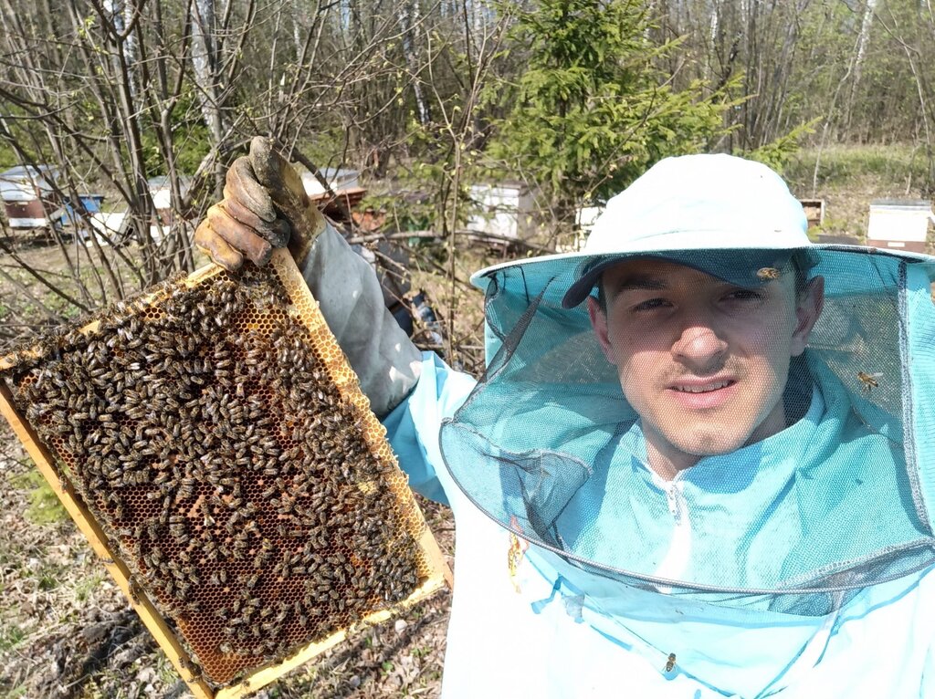 Пчеловод ком лесной просп 51 петрозаводск фото Лесная пасека, мёд и продукты пчеловодства, Тульская область, Заокский район, ра