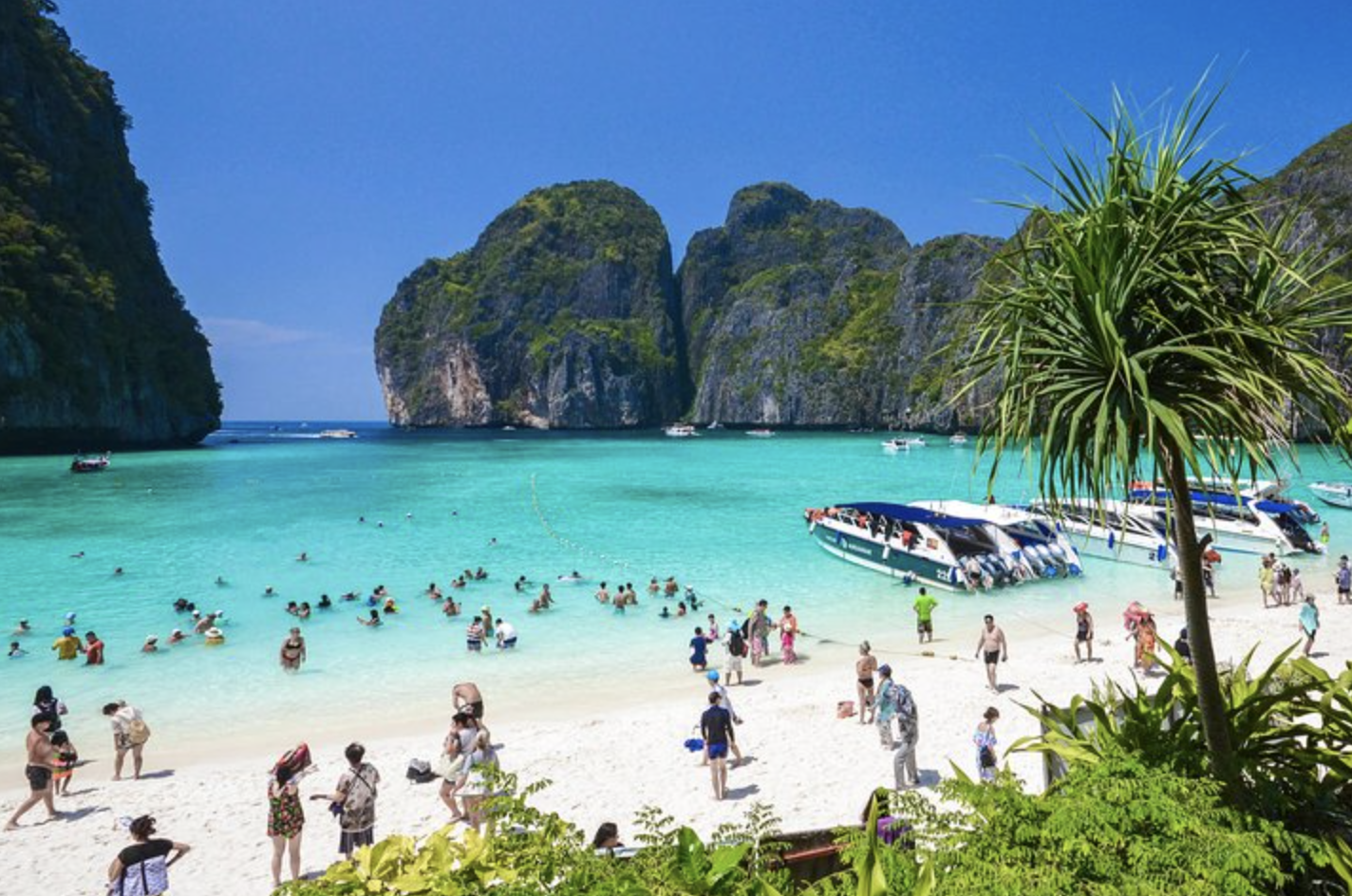 Пхукет остров пхи пхи фото Phi Phi Island, Maya Bay & Khai Island Speedboat Full Day Tour from Phuket Thail