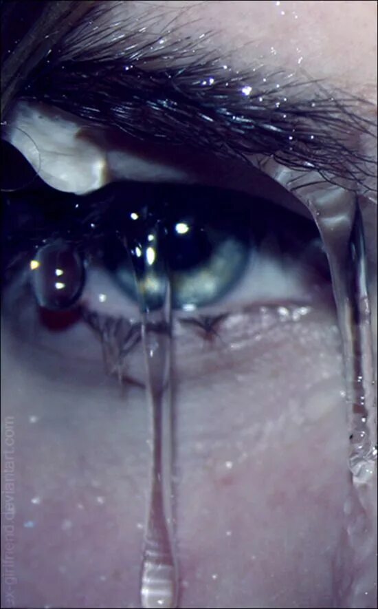 Плачущие глаза фото For peace of this world and the next, understand what I advise Magnanimity the l