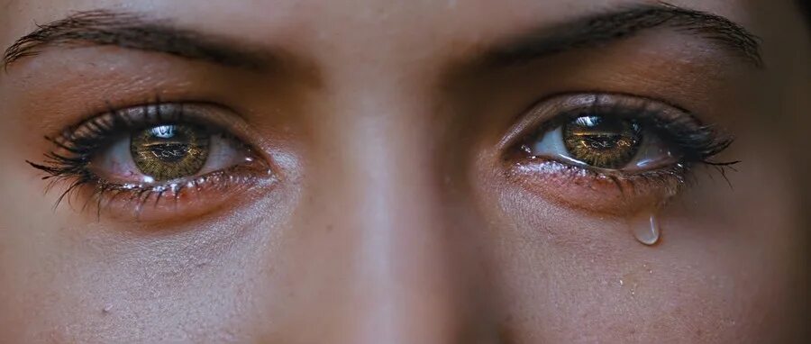 Плачущие глаза фото Belarusian State University of Transport - Belarusian State University of Transp