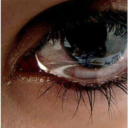 Плачущие глаза фото Stream Fennaathee balanyaa A Amir,fazee by lostlovenax Listen online for free on