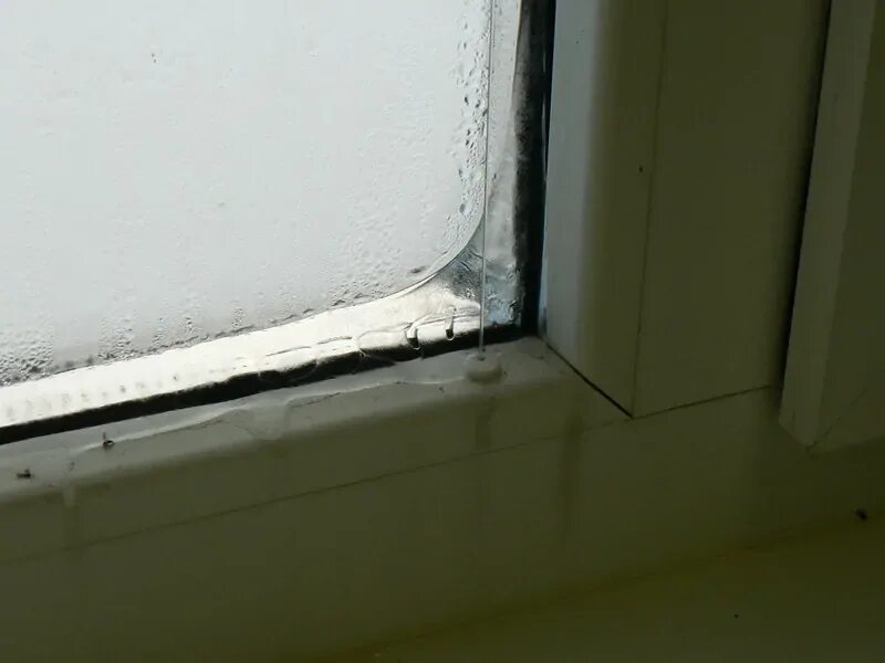 Плачут окна фото Что делать, если окна плачут