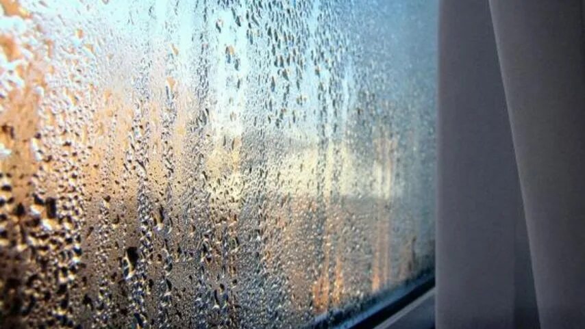 Плачут окна фото How to fight the annual winter mould attack on your home - ABC News