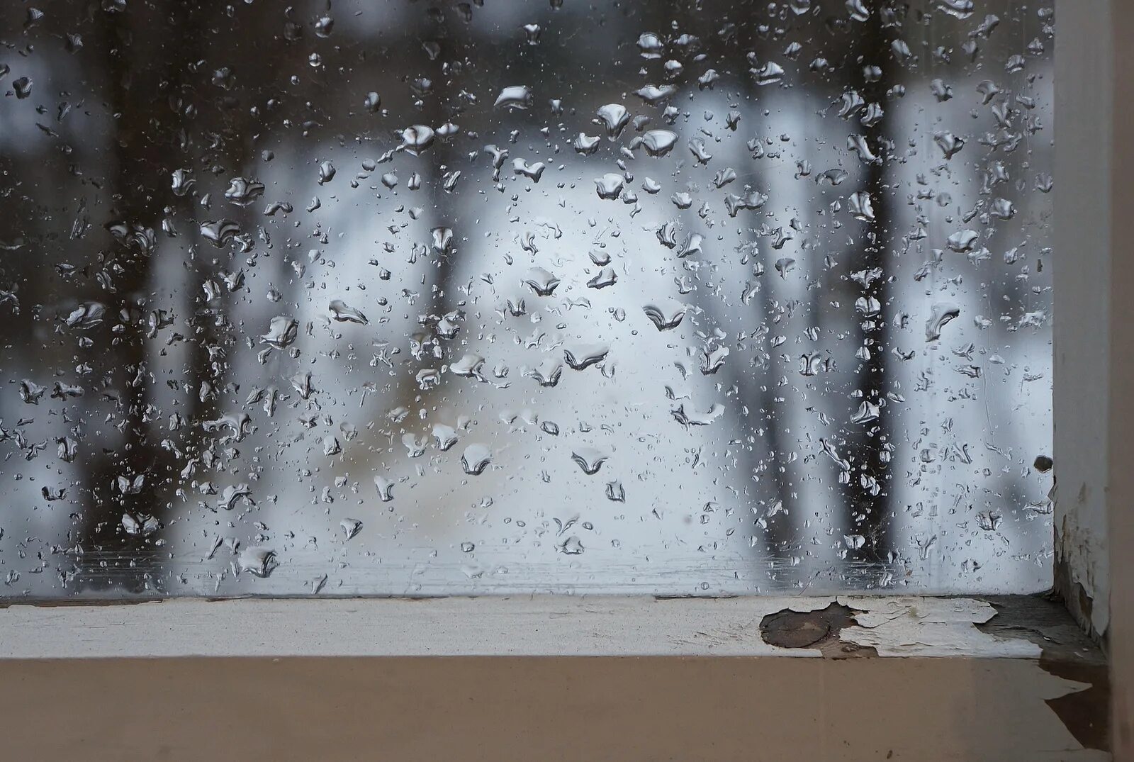 Плачут окна фото Плачущие окна - CormanStroy.ru