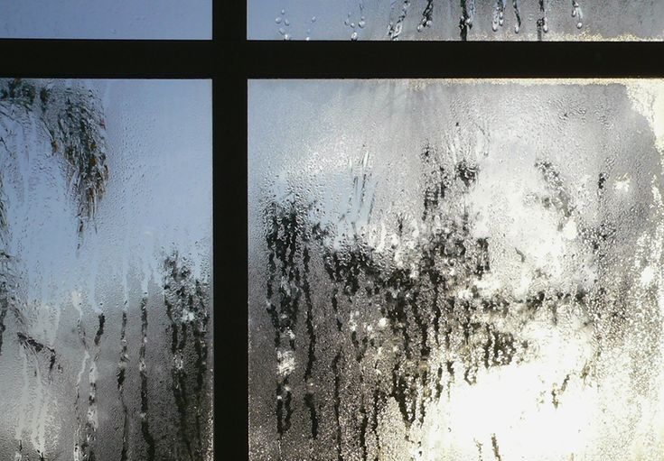 Плачут окна фото Prairie Village Replacement Windows Window Condensation: Controlling Moisture On