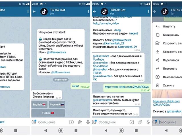 Плахина наталья г краснодар сайт телеграмм фото Картинки СИМВОЛЫ В ТЕЛЕГРАММ КАНАЛЕ