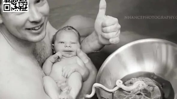 Плацента как выглядит после родов настоящая L&S Consultores y Asociados’s Videos on Vimeo