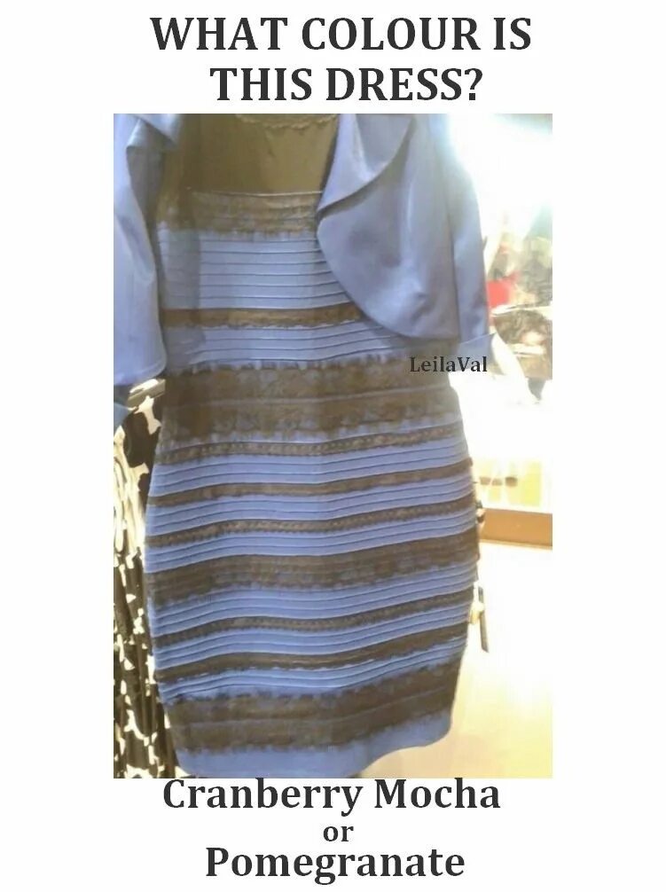 Платье сине черного цвета фото The Dress White gold dress, Black and blue dress, Dress debate