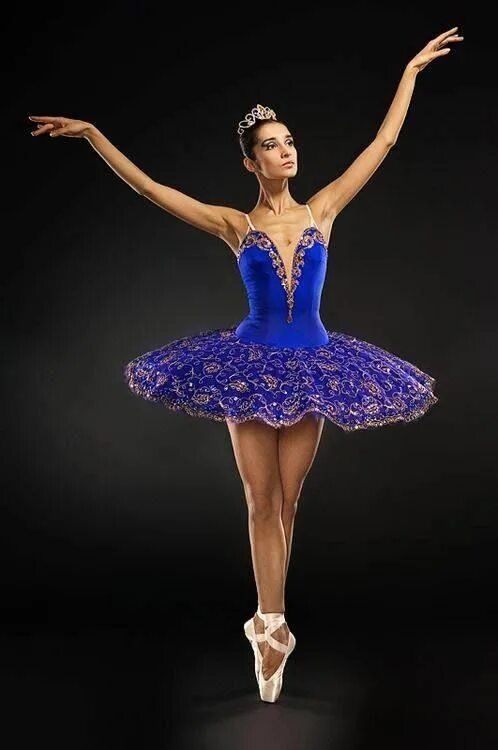 Платья балерин фото Pin by Sofia Peralta on Dance Ballerina Belly dance dress, Dance photography, Da