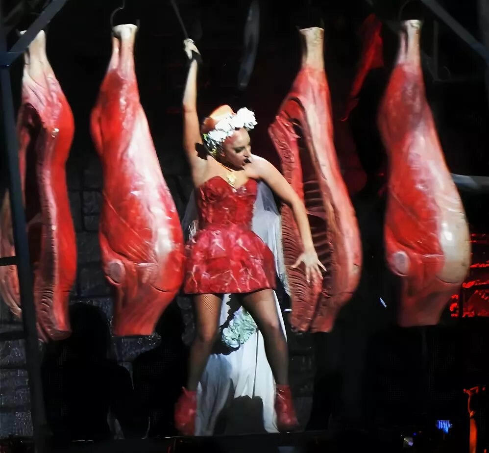 Платья из мяса фото Леди ГаГа в Москве показала легендарное "мясное" платье - Экспресс газета