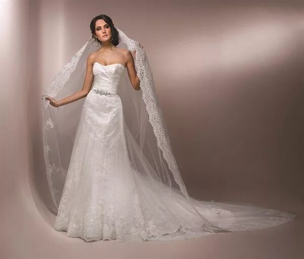 Платья с фатой фото Maggie Sottero Malina Maggie sottero wedding dresses, Wedding dresses, Wedding d