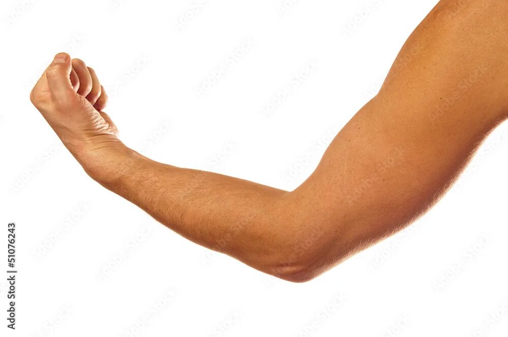 Плечо руки фото Man's muscular arm фотография Stock Adobe Stock