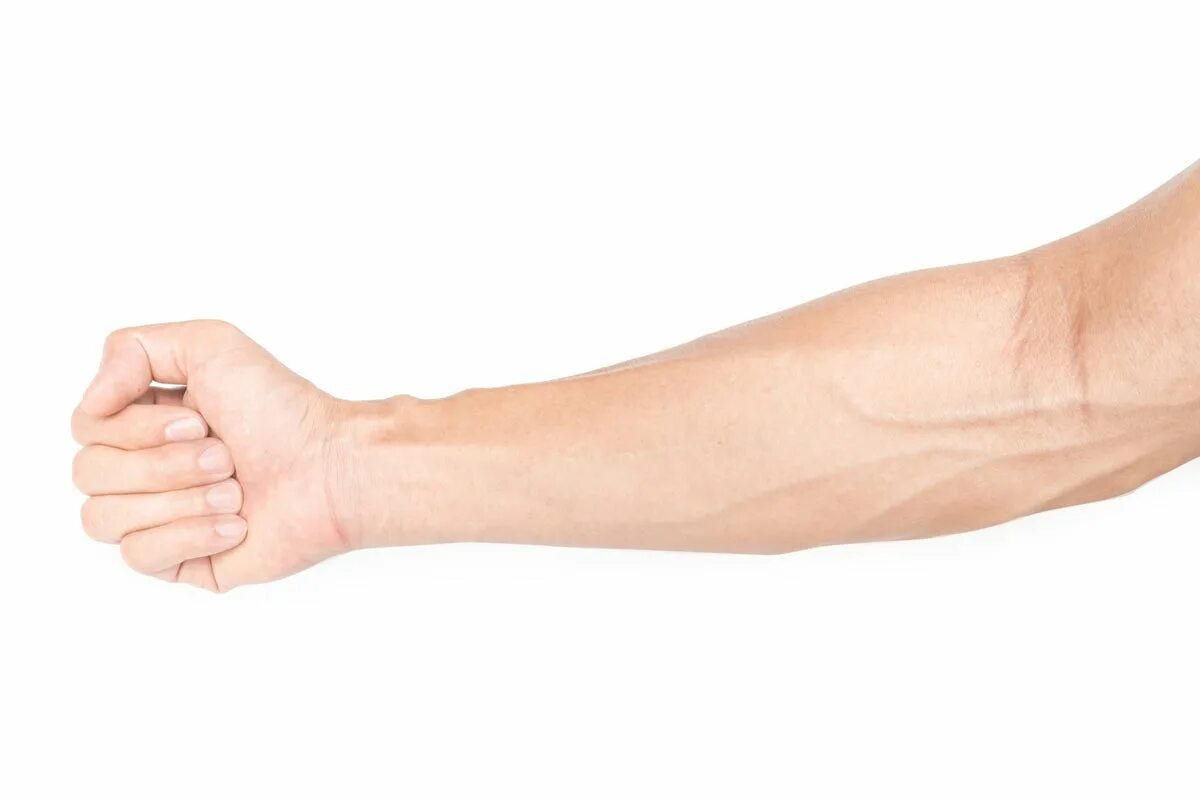 Плечо руки фото The Importance of Forearm Strength and How to Build It Scientific American