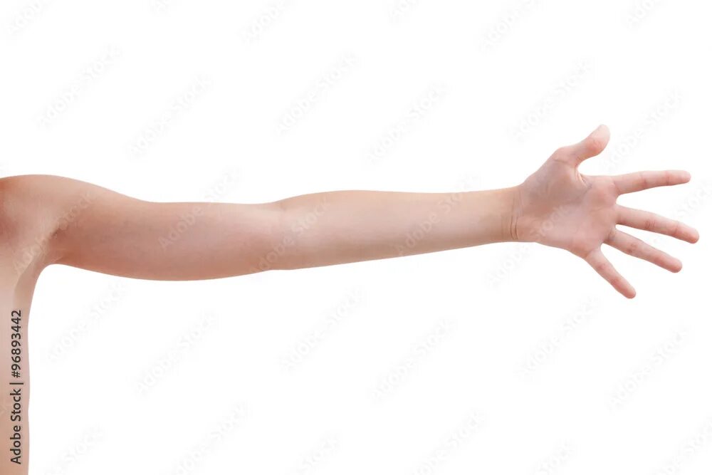 Плечо руки фото Stretched human hand Фотографія Stock Adobe Stock
