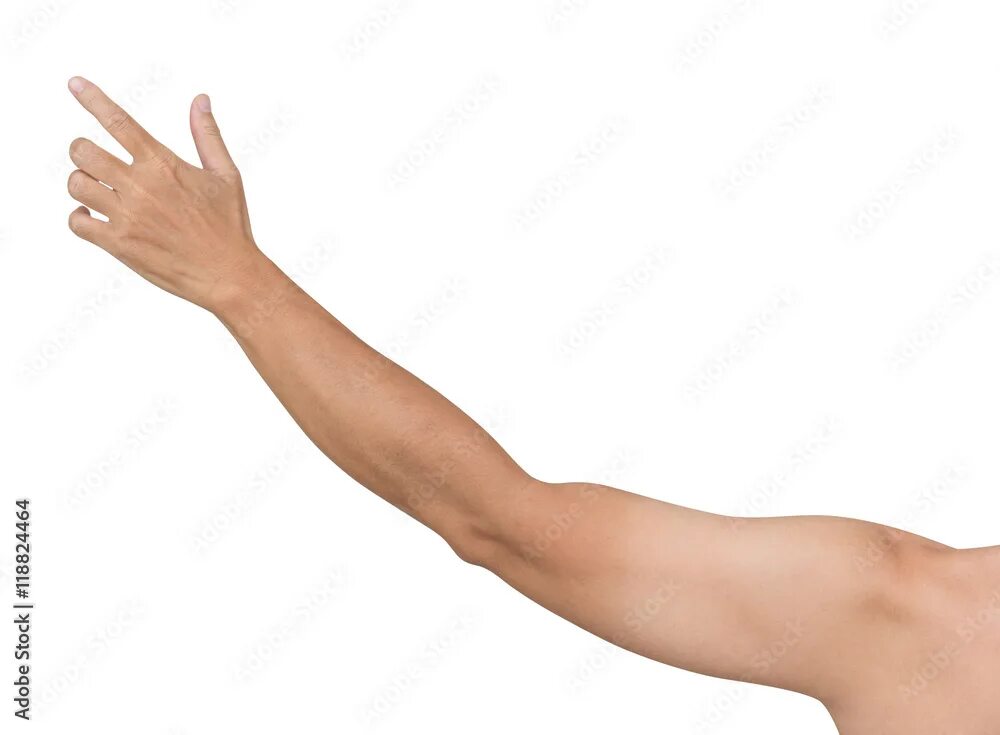 Плечо руки фото Man hand pointing isolated on white background, clipping path Фотографія Stock A