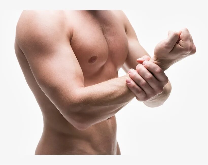 Плечо руки фото The Forearm - Forearm Transparent PNG - 800x570 - Free Download on NicePNG