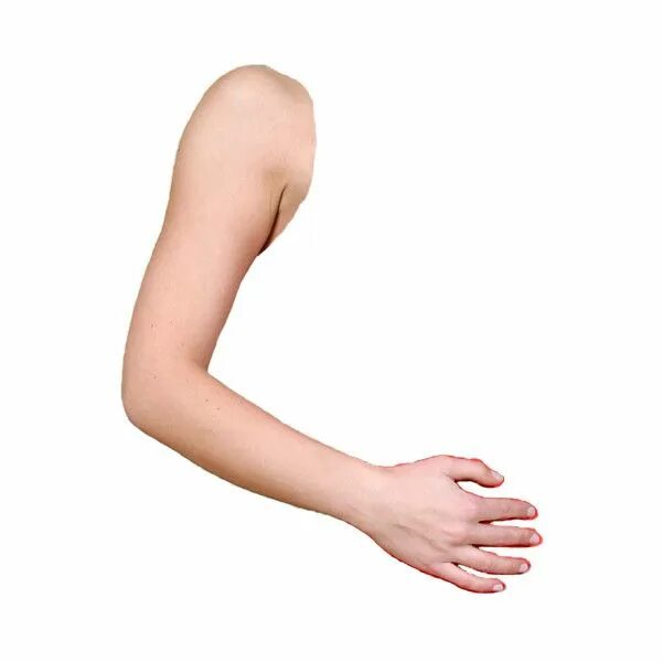 Плечо руки фото arm_03 Doll parts, Body, Arms