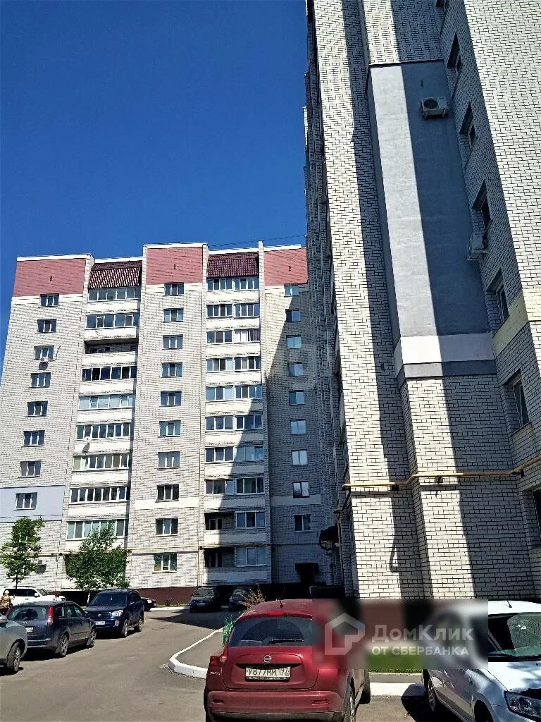 Плеханова брянск фото Университет плеханова брянск