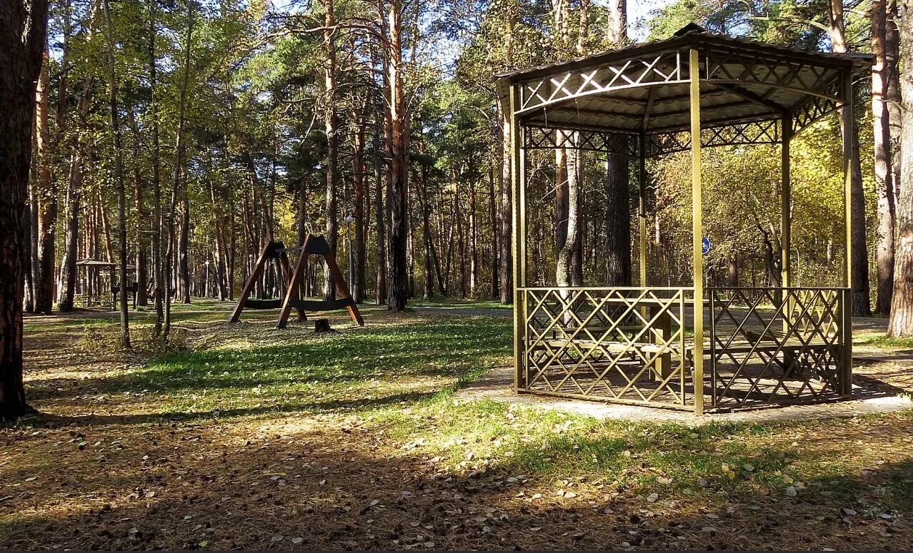 Плехановский бор тюмень фото Тюменцы бронируют бесплатные беседки в Гилевке Реальная Тюмень