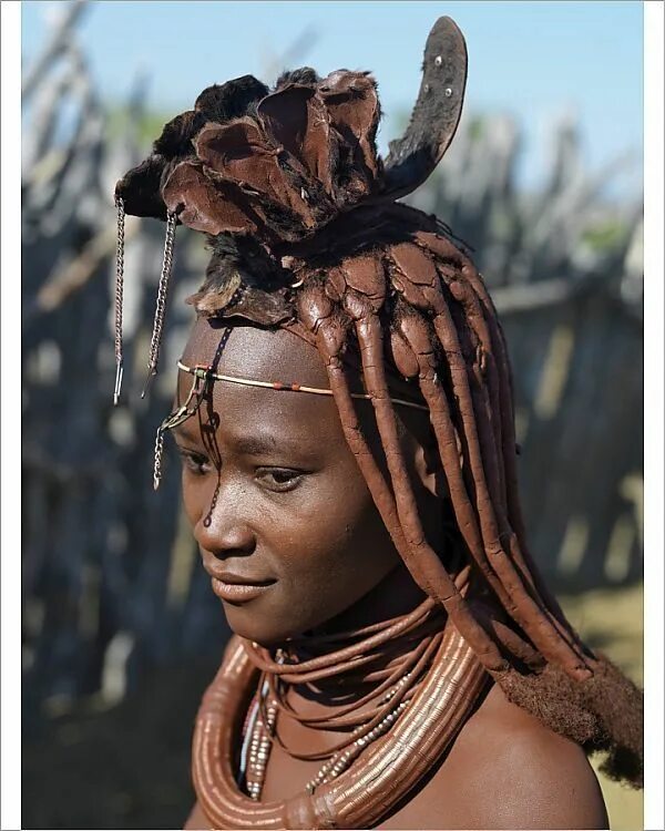 Племя химба женщины фото в полный рост Print of A Himba woman in traditional attire. Her body gleams from a mixture of 