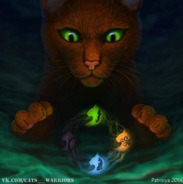 Племя коты фото Фотографии со страницы сообщества "Коты Воители.3 новых племени" - Фотография 1 