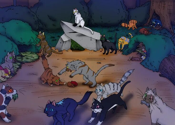 Племя коты фото WCC- ShadowClan by CYcat on deviantART Warrior drawing, Warrior cats, Warrior ca