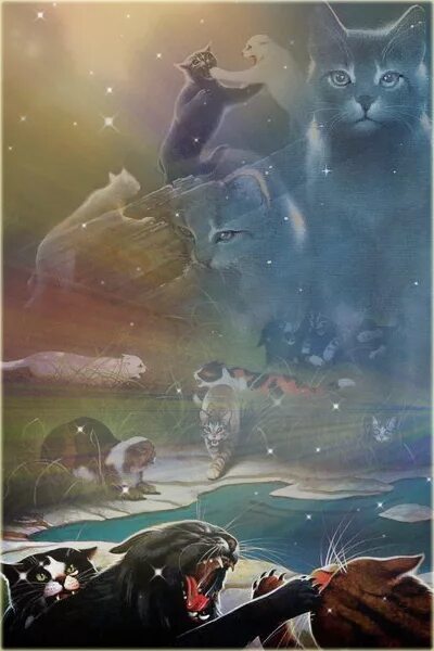 Племя коты фото Закон племен - Коты-Воители Знамение Звёзд