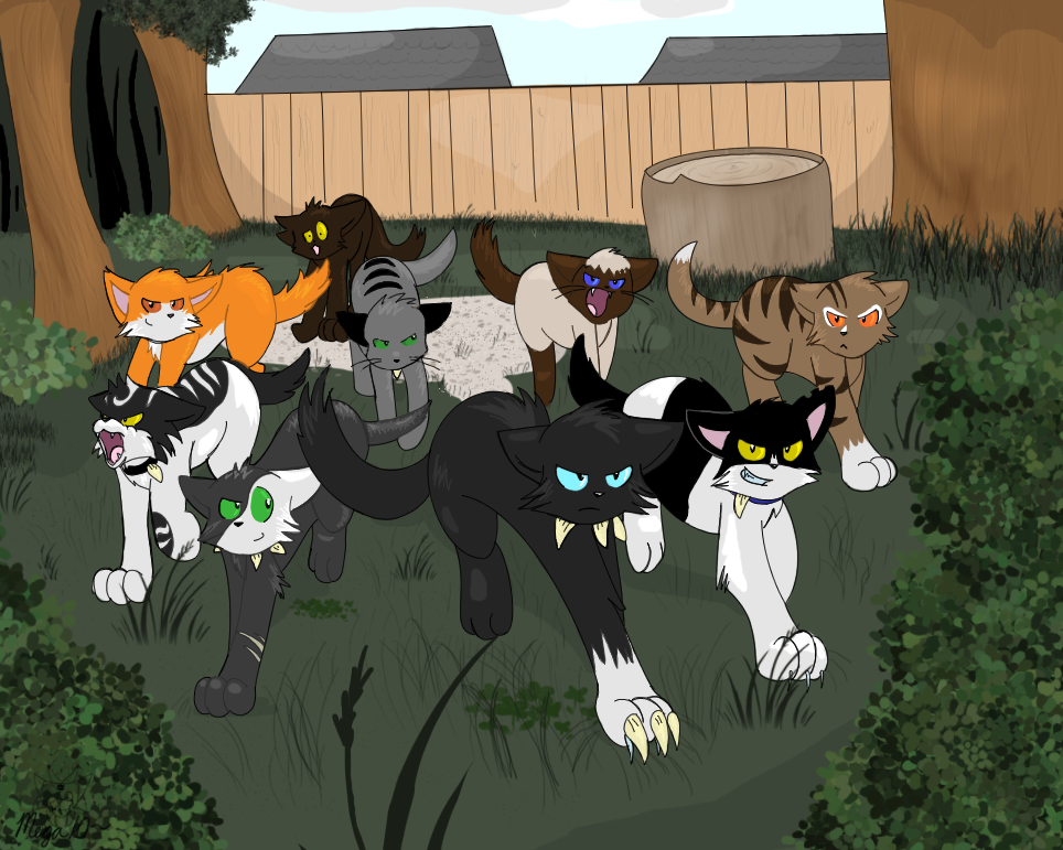 Племя коты фото Bloodclan by SmilehKitteh on deviantART Warrior cats, Warrior cat, Furry art