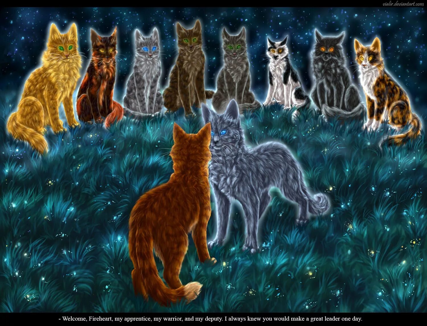 Племя коты фото Firestar's 9 lives Warrior cats fan art, Warrior cats art, Warrior cat